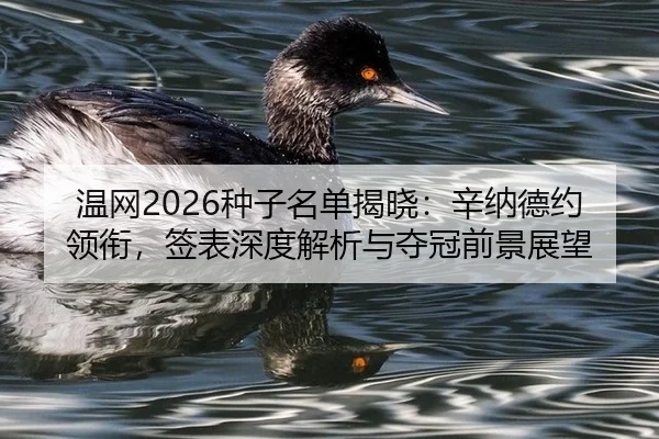 wen-wang-zhong-zi-ming-dan-jie-xiao-xin-na-de-yue-ling-xian-qian-biao-shen-du-jie-xi-yu-duo-guan-qian-jing-zhan-wang-2-895.jpg