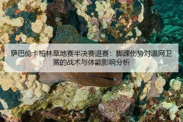 sa-ba-lun-ka-bo-lin-cao-di-sai-ban-jue-sai-tui-sai-jiao-huai-shang-shi-dui-wen-wang-wei-mian-de-zhan-shu-yu-ti-neng-3-886.jpg