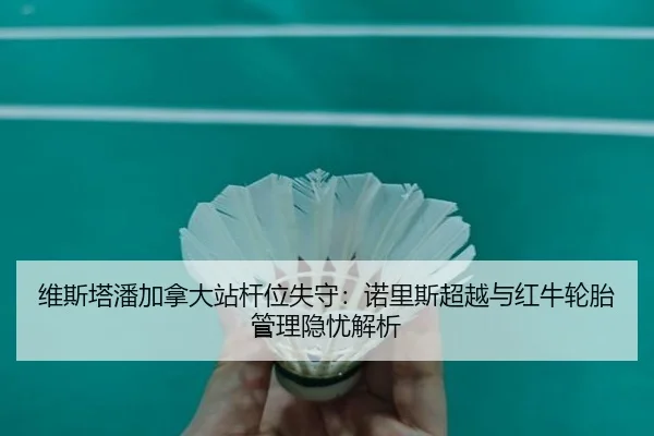 wei-si-ta-pan-jia-na-da-zhan-gan-wei-shi-shou-nuo-li-si-chao-yue-yu-hong-niu-lun-tai-guan-li-yin-you-jie-xi-2-489.jpg