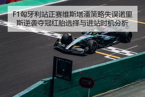 xiong-ya-li-zhan-zheng-sai-wei-si-ta-pan-ce-lve-shi-wu-nuo-li-si-ni-xi-duo-guan-hong-tai-xuan-ze-yu-jin-zhan-shi-ji-fen-3-392.jpg